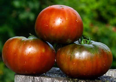 Qingdao-Tomate
