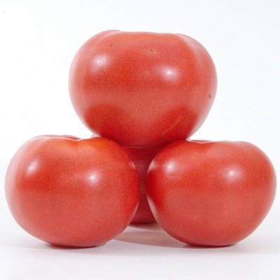 Tomaten Fenda