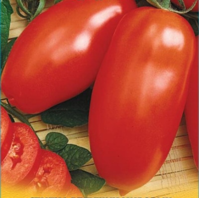 Tomato Hypil 108