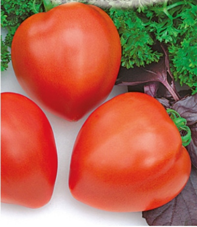 Hali-Gali rajče