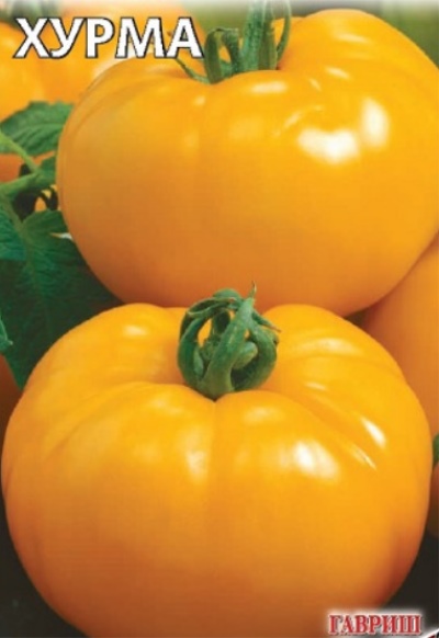 Tomato Persimmon