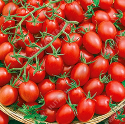 Bouton Tomate