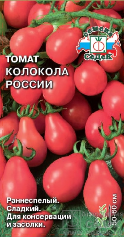 Cloches de tomates de Russie