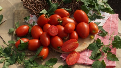 Tomaten-Kombat