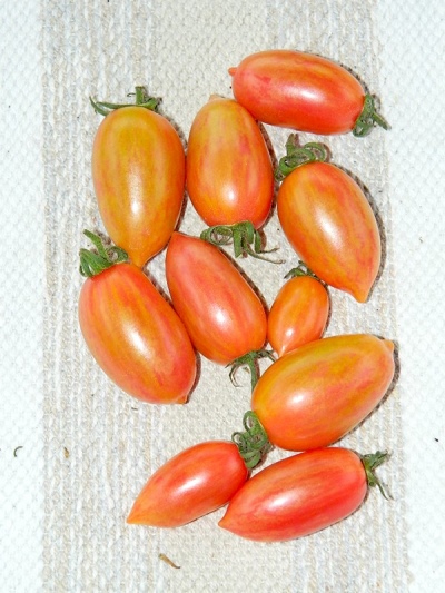 Dulces de tomate carámbanos dulces