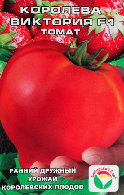 Tomatenkoningin Victoria