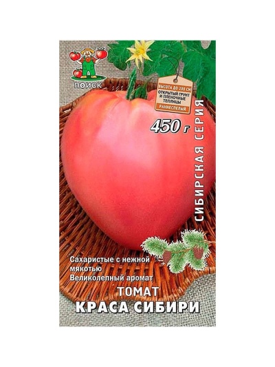Tomaten Krasa Sibirien