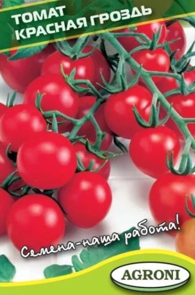 Racimo de tomate rojo