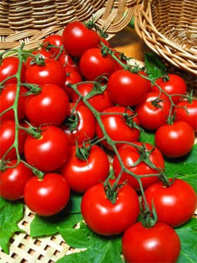 Tomat halskæde rød