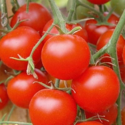 Tomato Drobeček