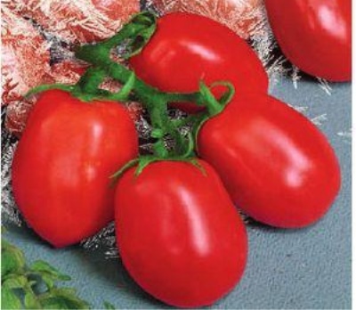 Capsule d'oeuf de tomate