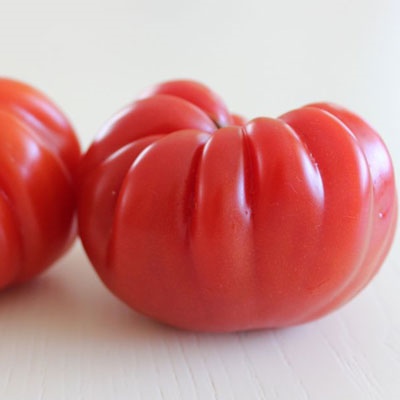 Belleza de tomate Lorraine
