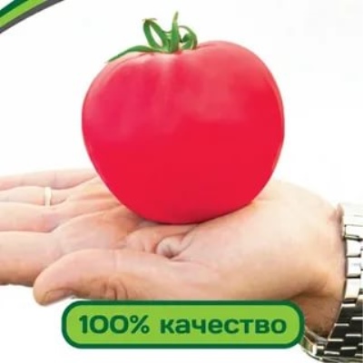 Tomat hindbærmousse