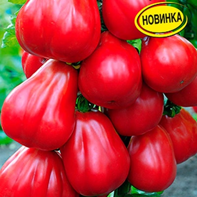Tomato Raspberry Strong