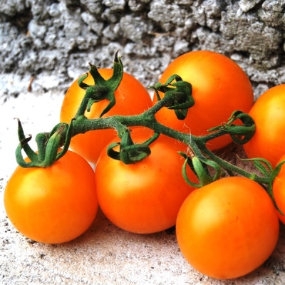 Tomate Mandarine