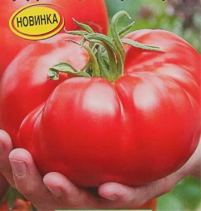 Tomatenbeerbloed