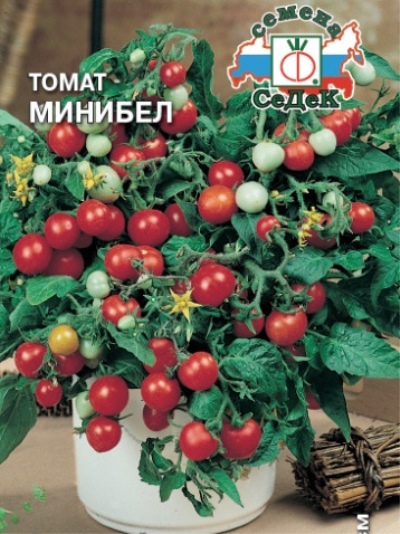 Tomat Minibel