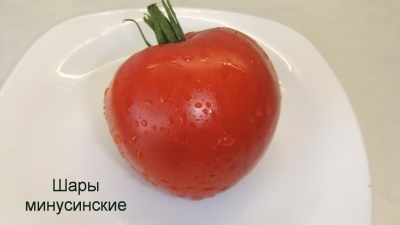 Bolas de tomate Minusinski