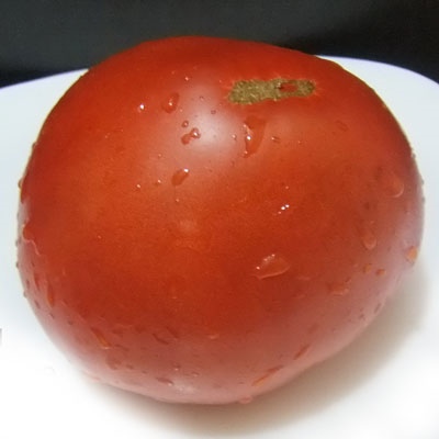 عملاق الطماطم Minusinsk