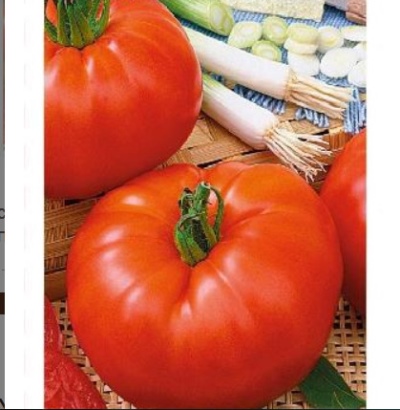Tomate Karotte