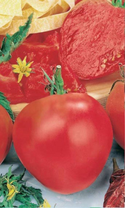 Tomate Charnue sucrée