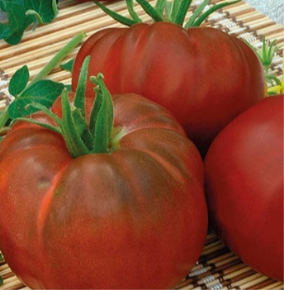 Tomato Negro