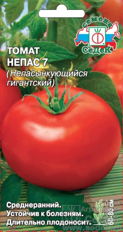 Tomato nepas 7