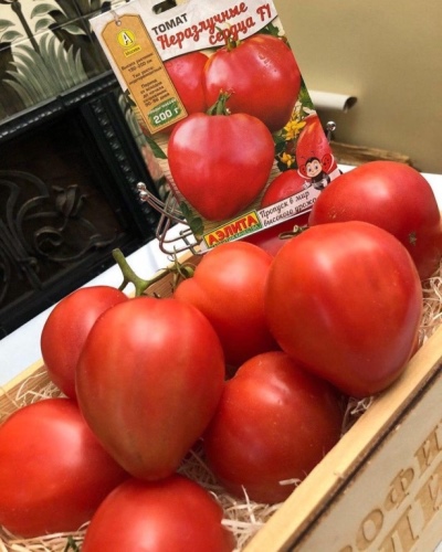 Corazones inseparables de tomate