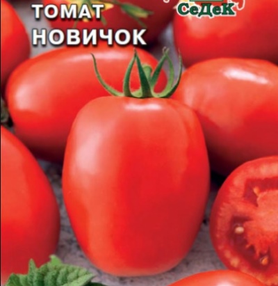 Tomaten-Neuling