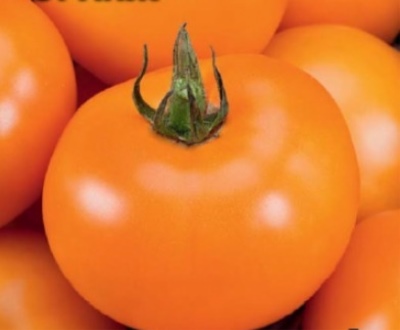 Tomate Naranja