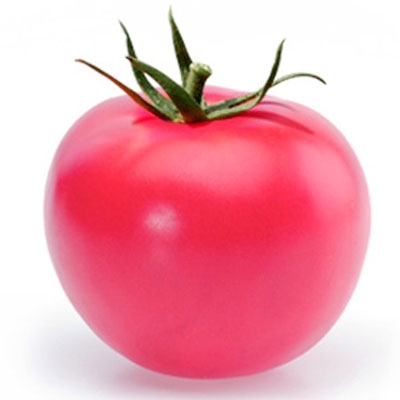 番茄潘达罗萨