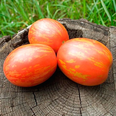 Velikonoční vajíčko s rajčaty