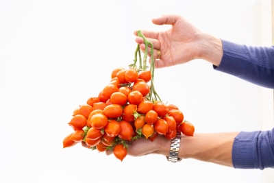 Baiser de tomate