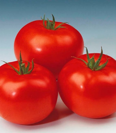 Tomate verschenken