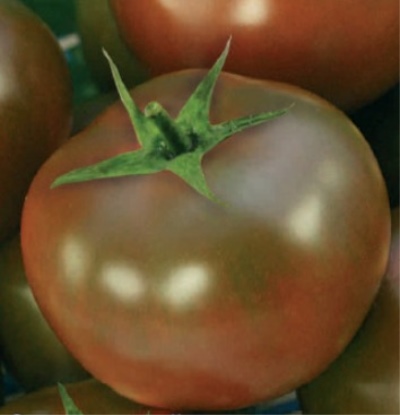 Tomato Paul Robson