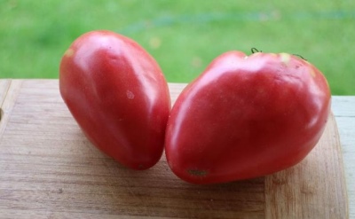 Tomaten-Working aus Nudeln