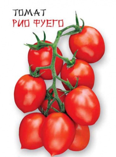 Rio Fuego tomato