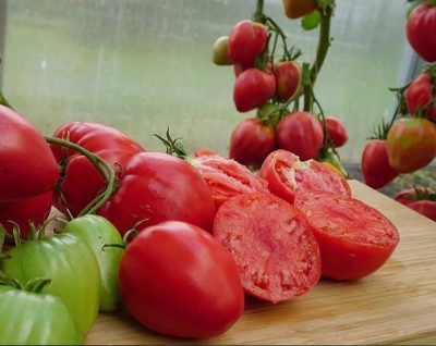 Tomaten-Zucker-Girlande