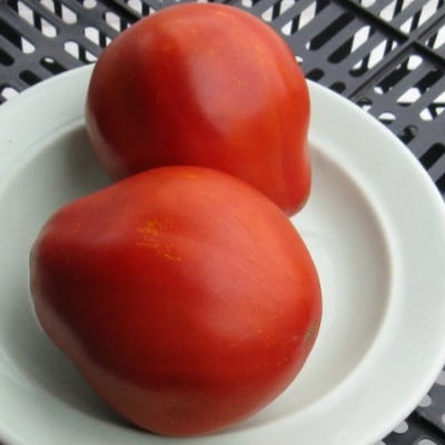 Corazón de búfalo de tomate