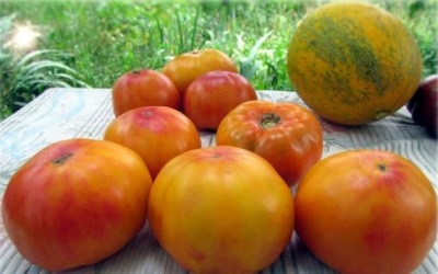 حلويات فرجينيا بالطماطم