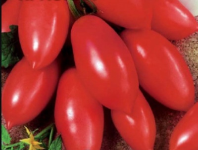 红冰柱番茄