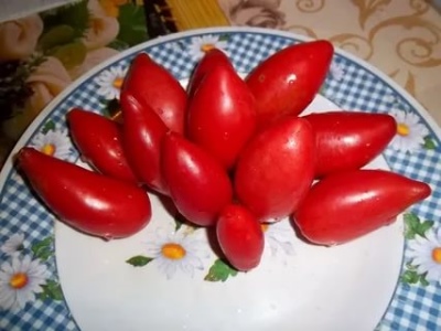 Supermodelo de tomate