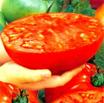 Súper filete de tomate