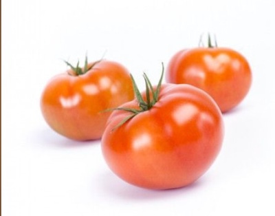 Tomato Taimyr