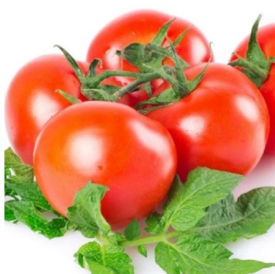 Frühe türkische Tomate