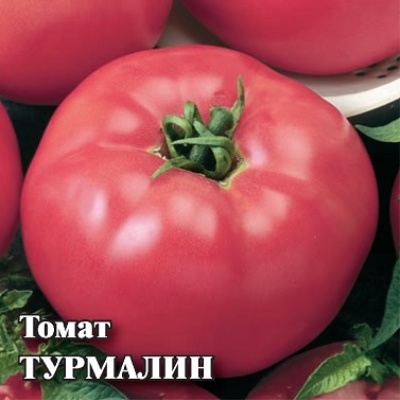 Turmalina de tomate