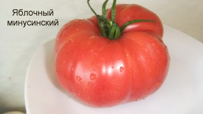 Apfel Tomate Minusinskiy