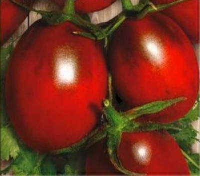Ciruelas de tomate