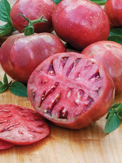 Cherokee paarse tomaat