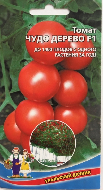 Árbol del milagro del tomate